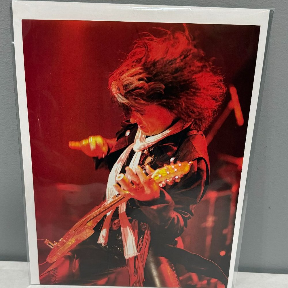 Joe Perry of Aerosmith - Music Print Ad Photo - 2010